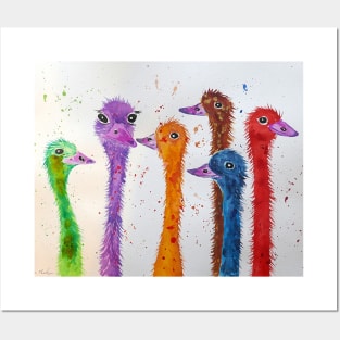 Colorful Ostriches Posters and Art